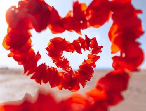 Trova una persona che ti ami!